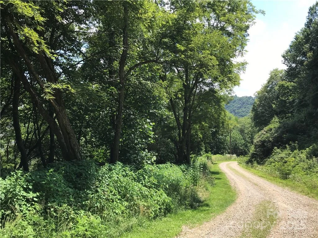 Lot #39 Ridge Top Circle - Photo 4