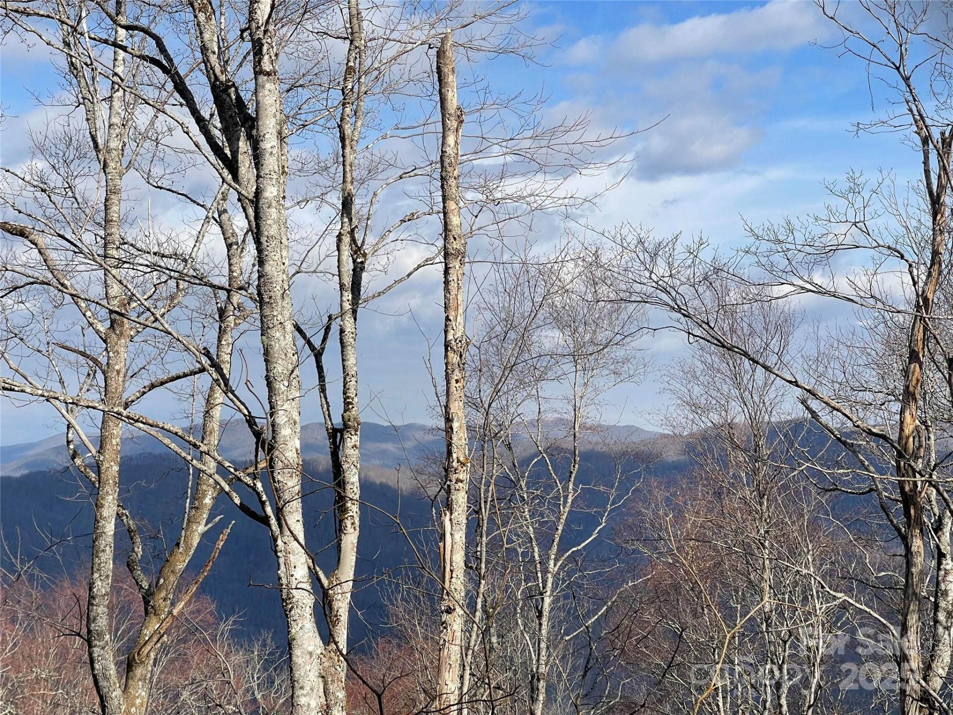 Lot #39 Ridge Top Circle - Photo 31