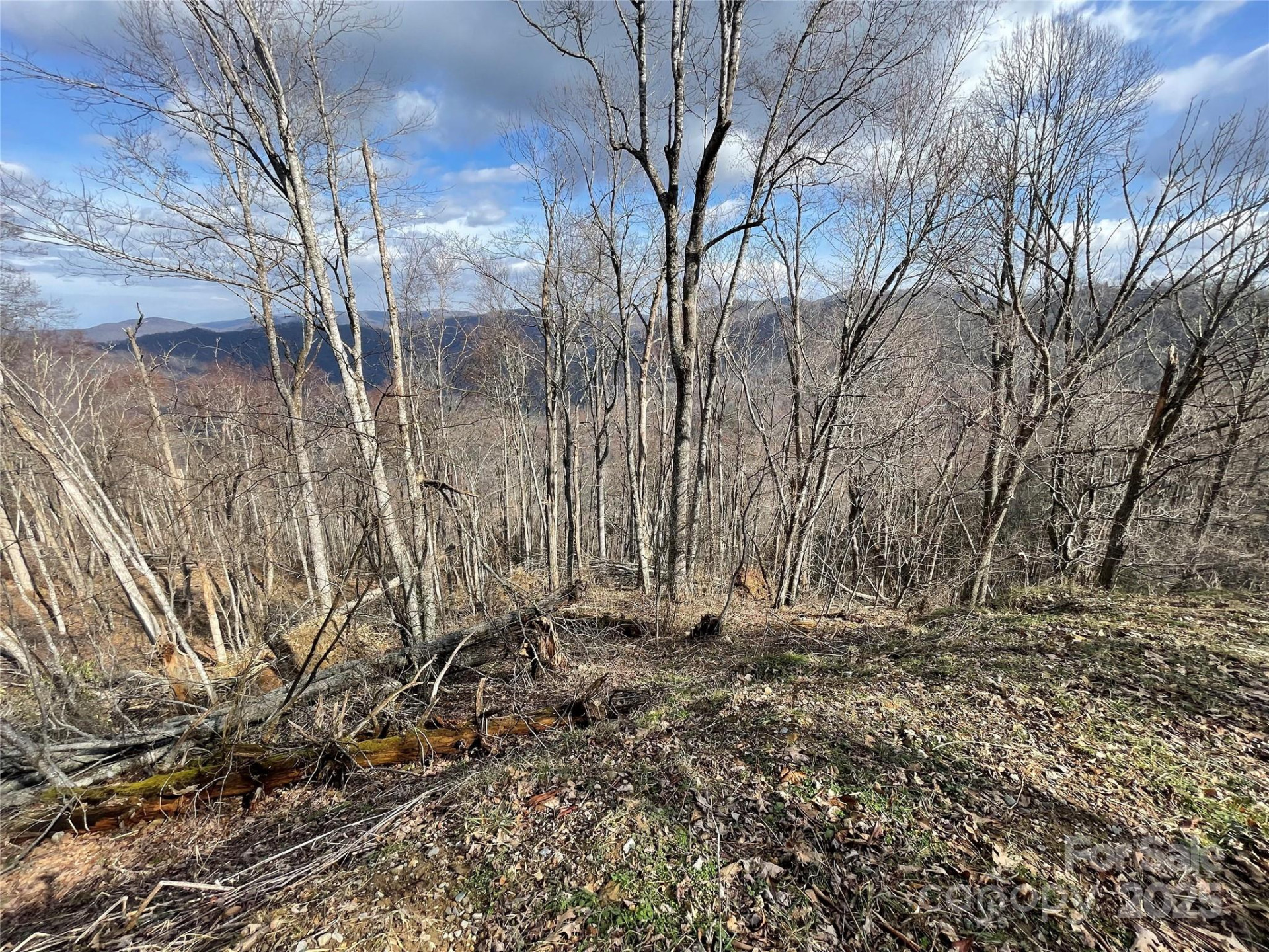 Lot #39 Ridge Top Circle - Photo 32