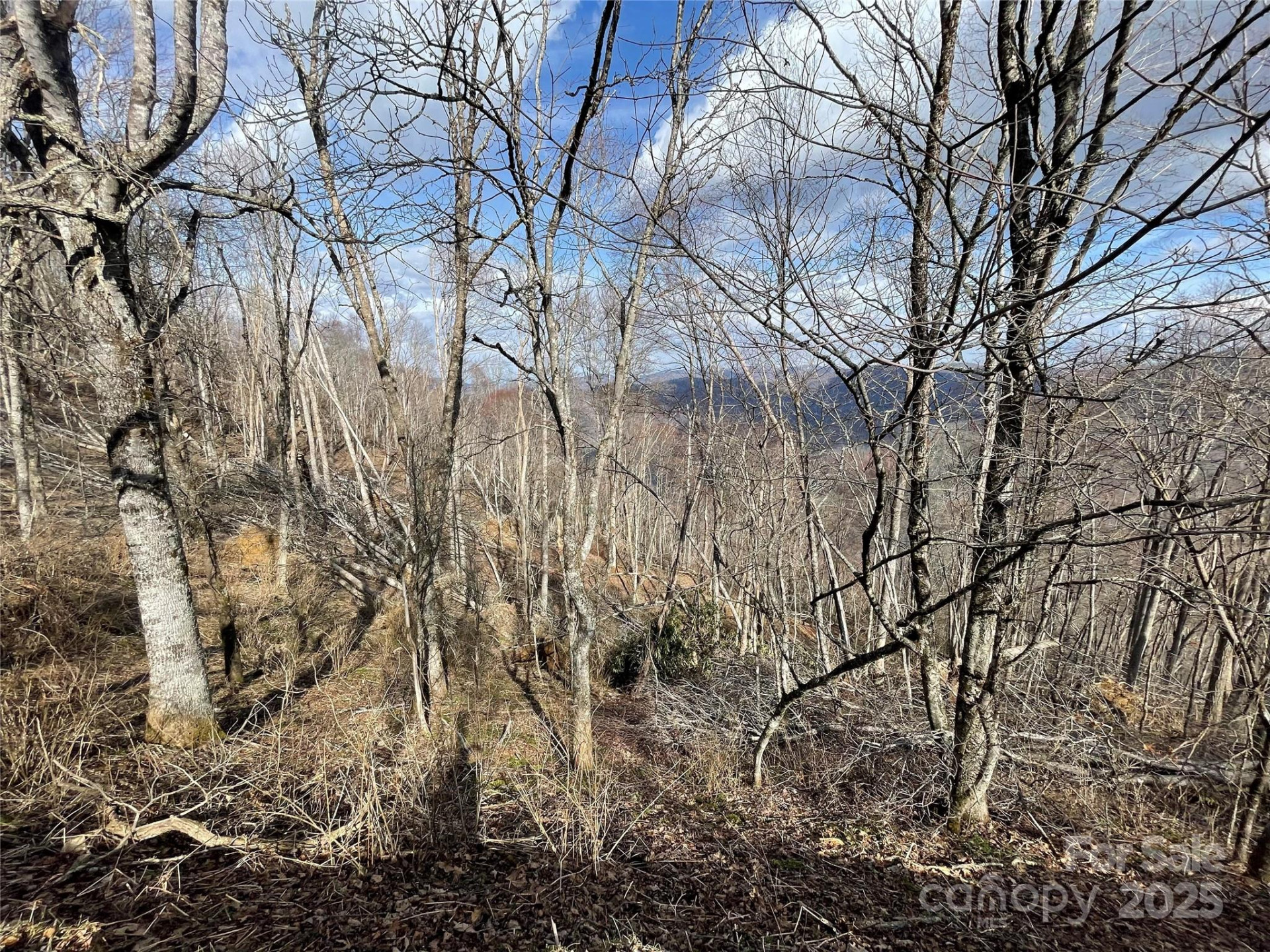 Lot #39 Ridge Top Circle - Photo 33