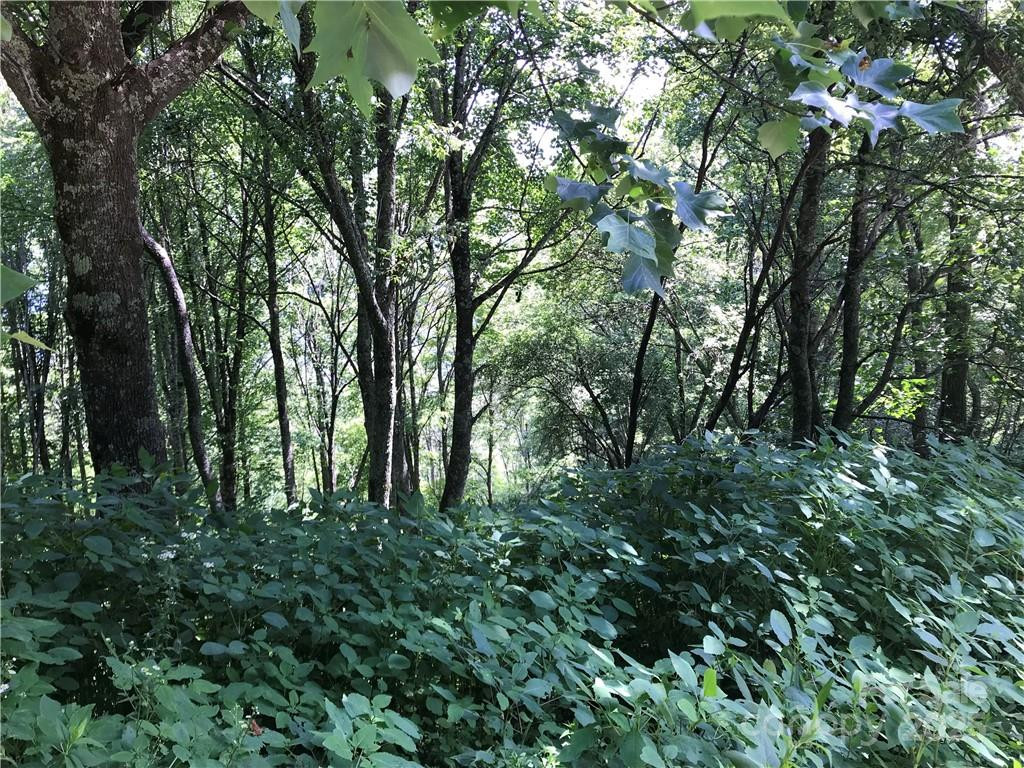 Lot #39 Ridge Top Circle - Photo 5