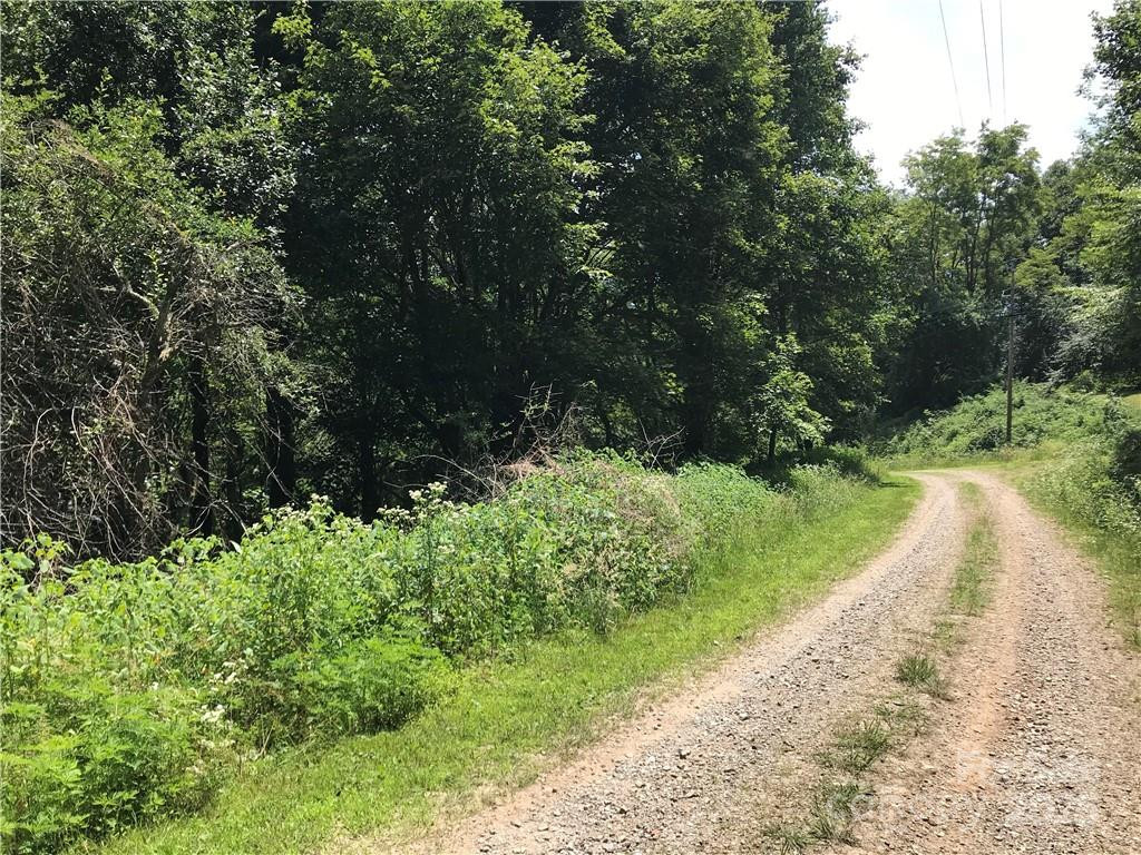 Lot #39 Ridge Top Circle - Photo 6