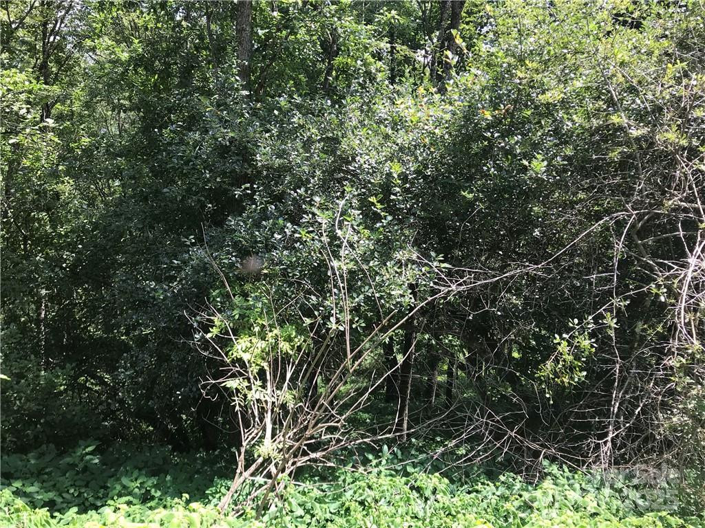 Lot #39 Ridge Top Circle - Photo 7