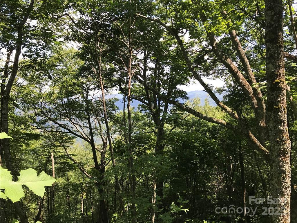 Lot #39 Ridge Top Circle - Photo 9