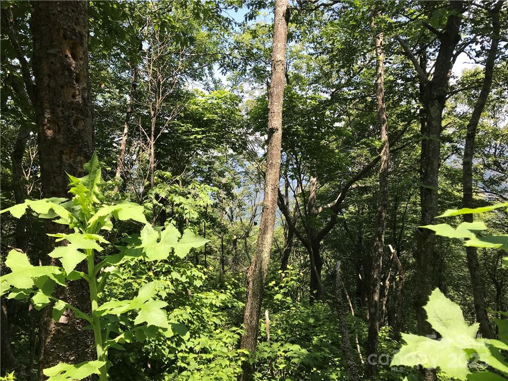 Lot #39 Ridge Top Circle - Photo 10