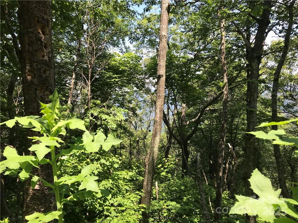 Lot #39 Ridge Top Circle - Photo 10