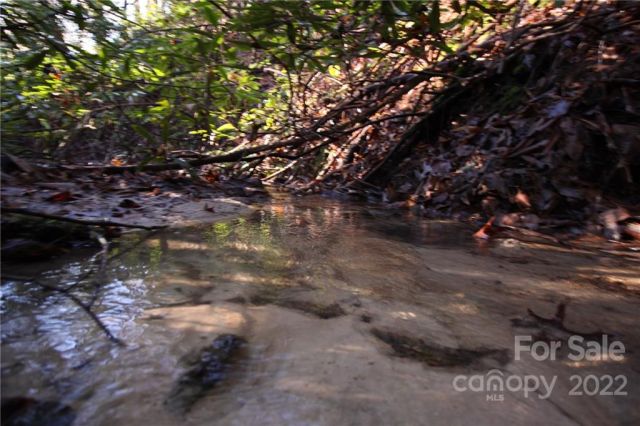 Lot 19 Gastons Bee Gum Road, Brevard, NC, 28712