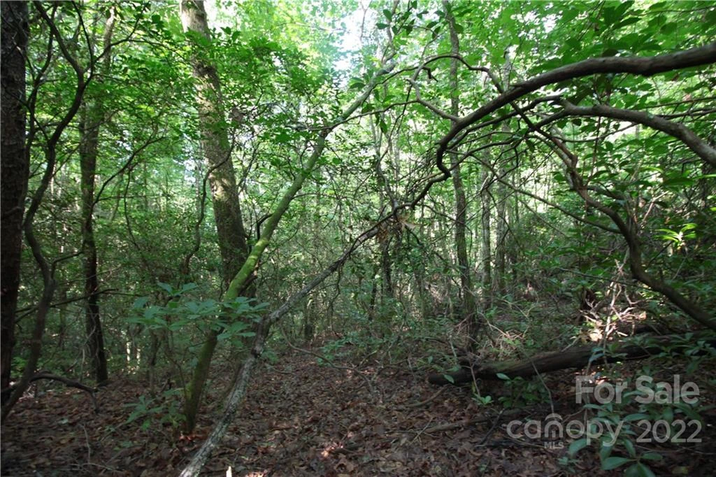 Lot 19 Gastons Bee Gum Road #19 - Photo 2