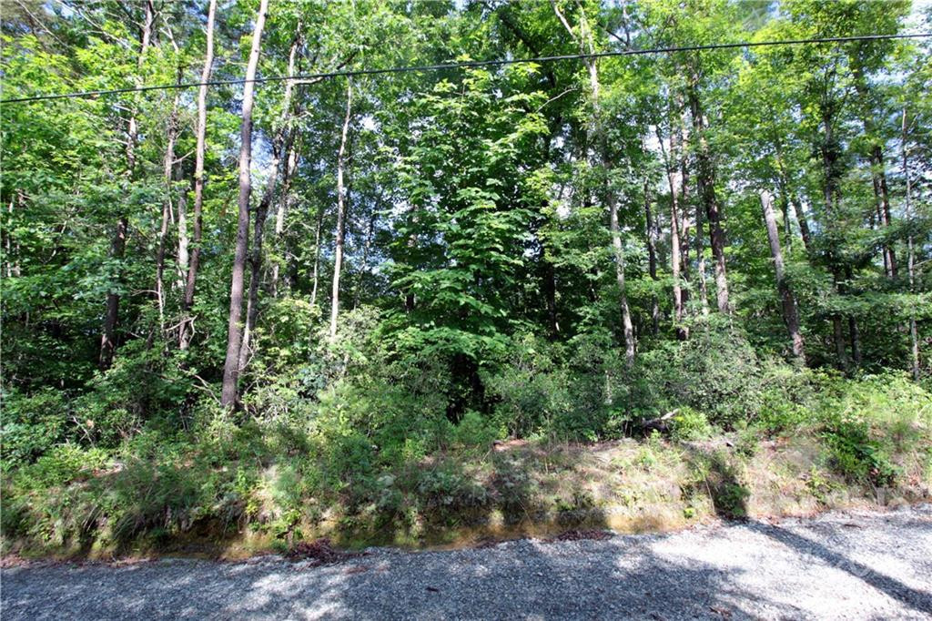 Lot 19 Gastons Bee Gum Road #19 - Photo 11