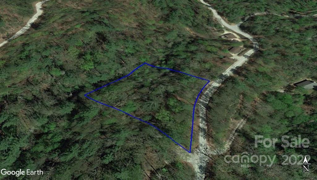 Lot 19 Gastons Bee Gum Road #19 - Photo 12