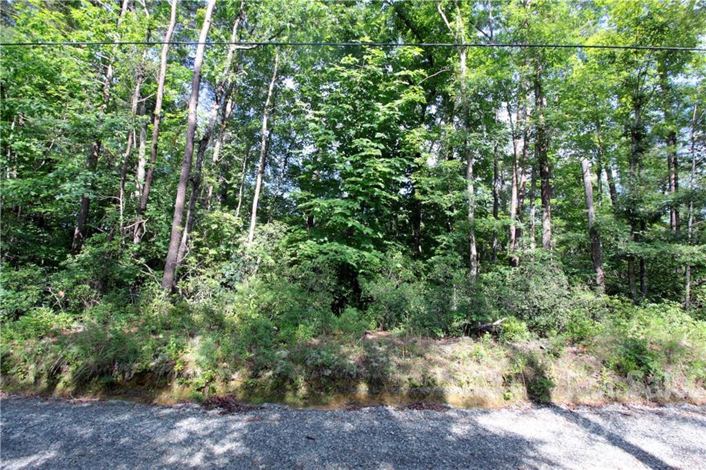 Lot 19 Gastons Bee Gum Road #19 - Photo 13