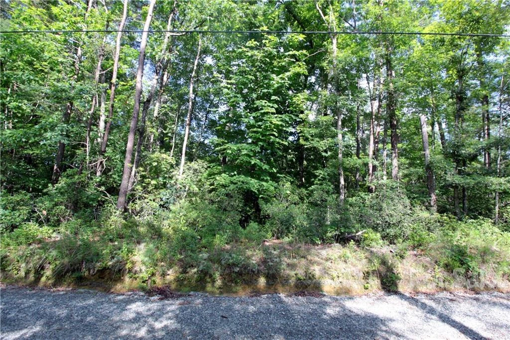 Lot 19 Gastons Bee Gum Road #19 - Photo 13