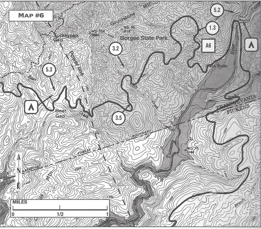 Lot 19 Gastons Bee Gum Road #19 - Photo 14