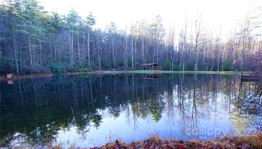Lot 19 Gastons Bee Gum Road #19 - Photo 15