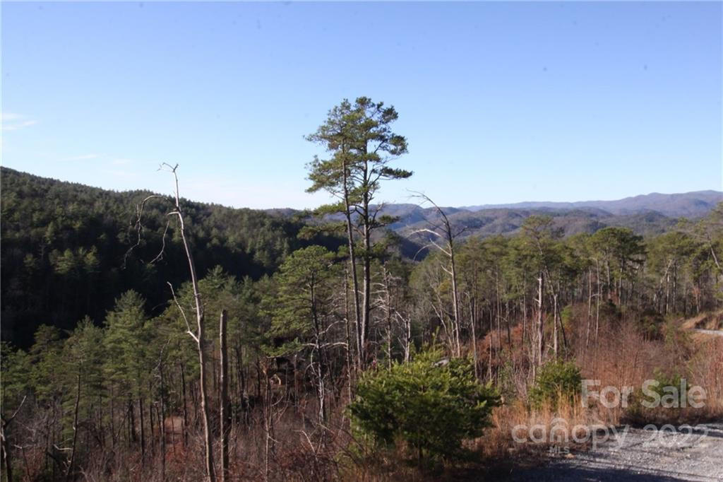 Lot 19 Gastons Bee Gum Road #19 - Photo 18