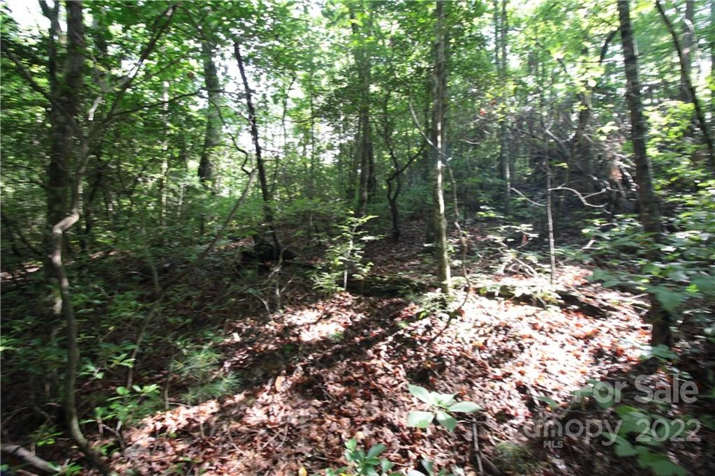 Lot 19 Gastons Bee Gum Road #19 - Photo 3
