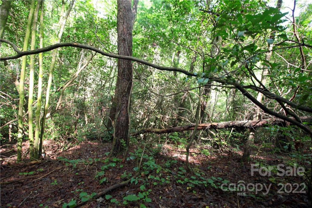 Lot 19 Gastons Bee Gum Road #19 - Photo 4