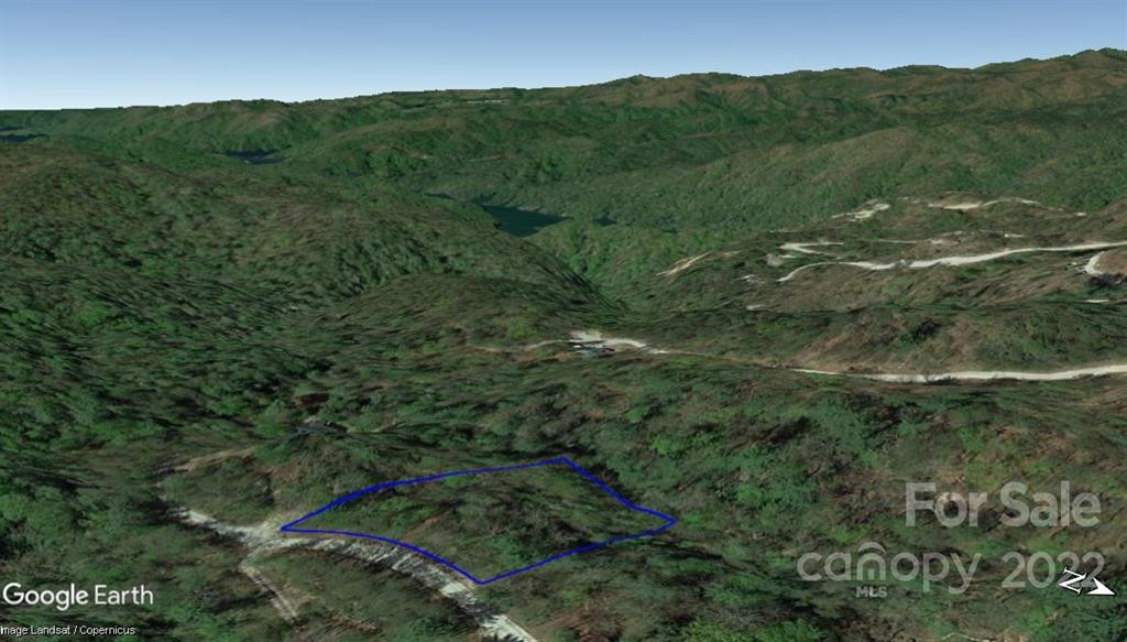 Lot 19 Gastons Bee Gum Road #19 - Photo 5