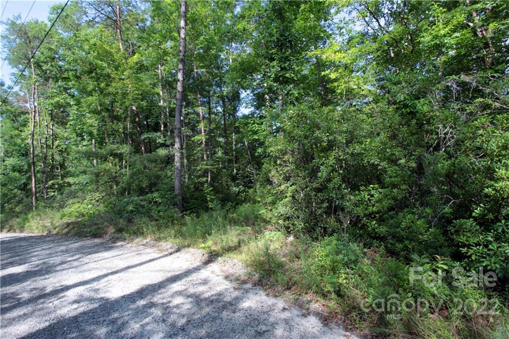 Lot 19 Gastons Bee Gum Road #19 - Photo 6