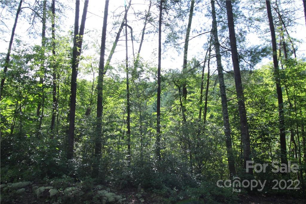 Lot 19 Gastons Bee Gum Road #19 - Photo 7