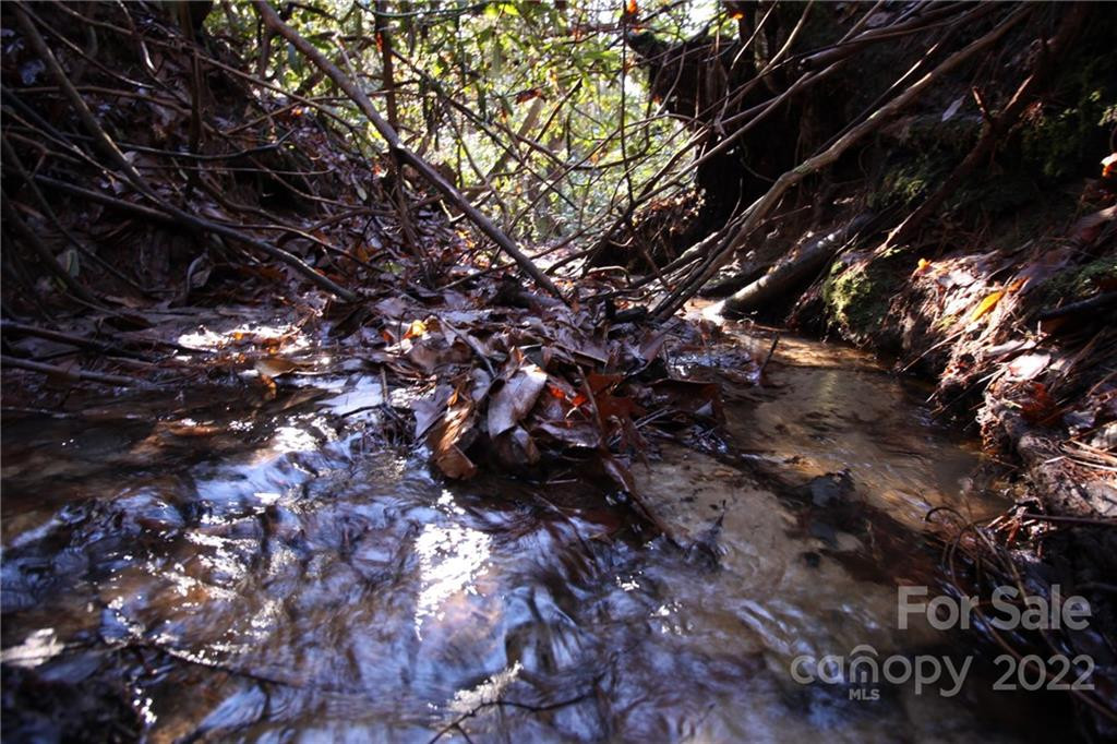 Lot 19 Gastons Bee Gum Road #19 - Photo 8