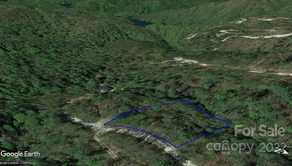 Lot 19 Gastons Bee Gum Road #19 - Photo 9