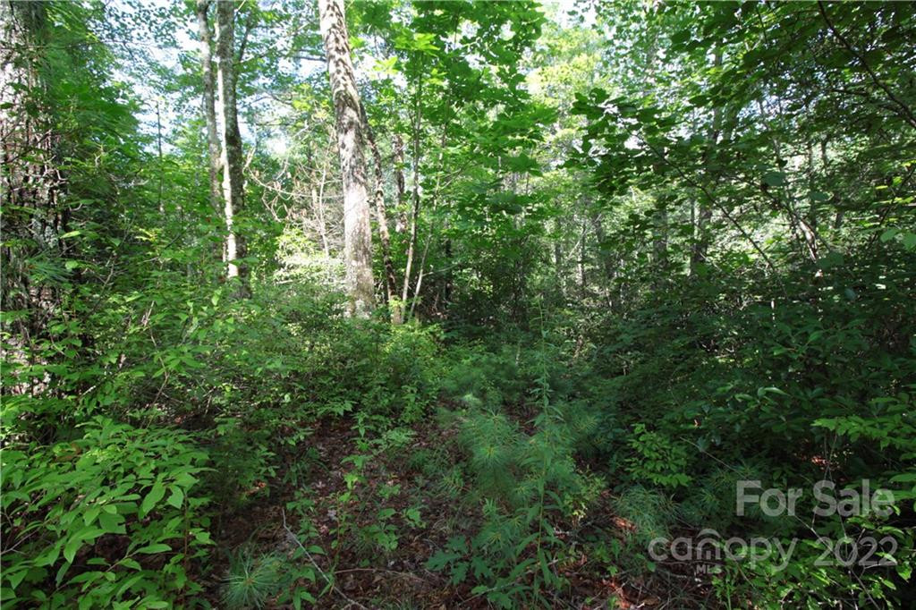 Lot 19 Gastons Bee Gum Road #19 - Photo 10