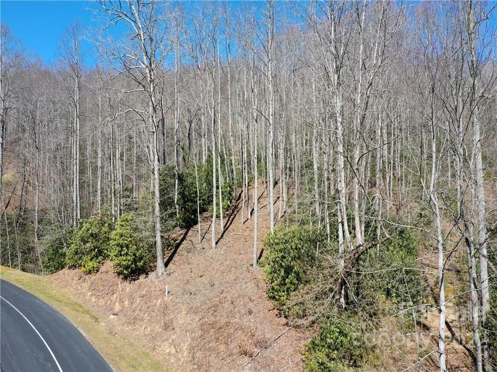 90 Mountain Crest Drive #30 - Photo 12