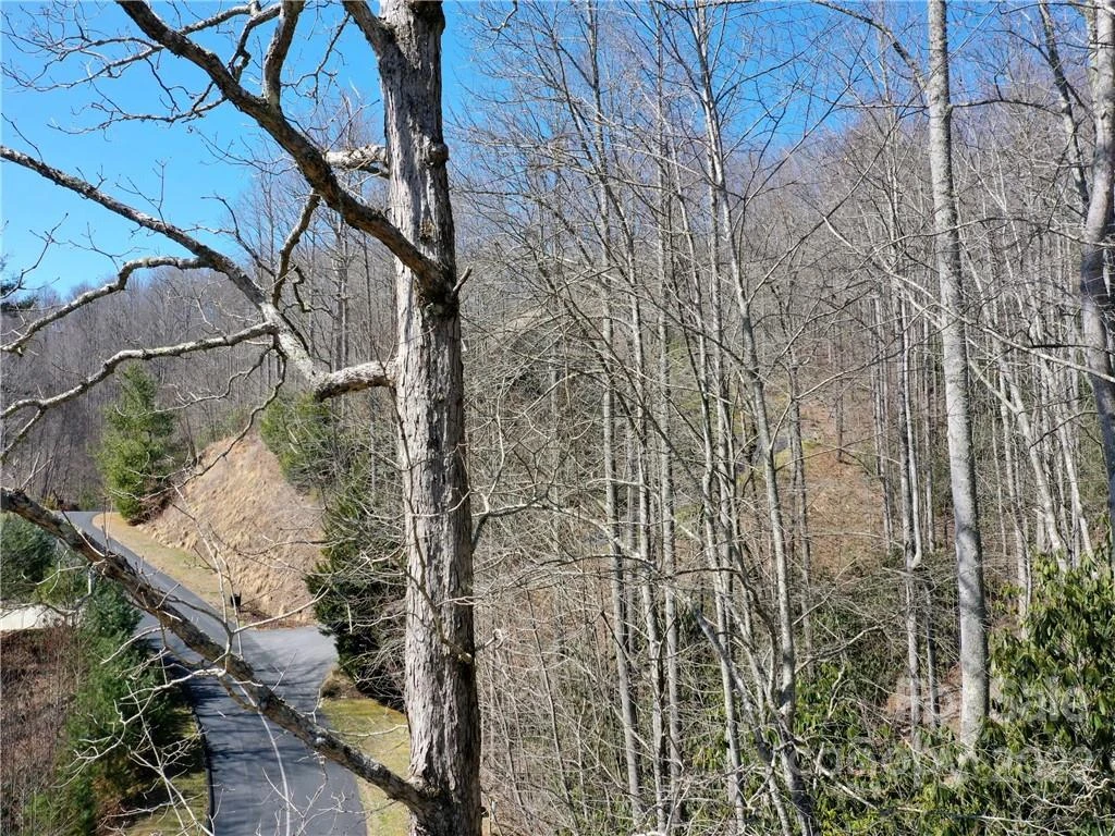 90 Mountain Crest Drive #30 - Photo 15