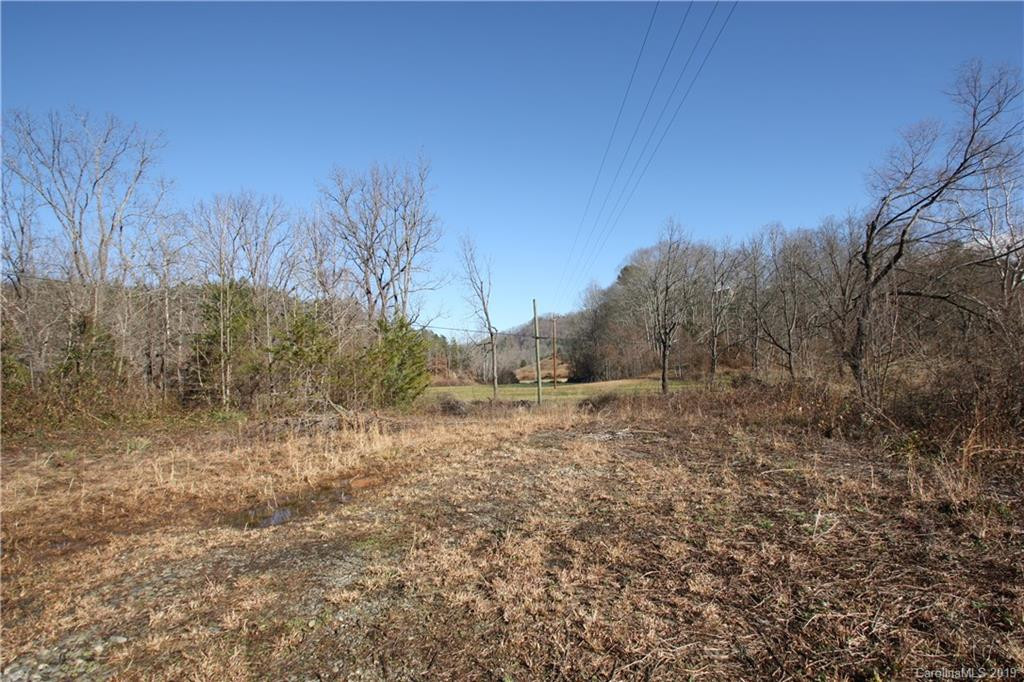 199 Sandy Mush Creek Road - Photo 6