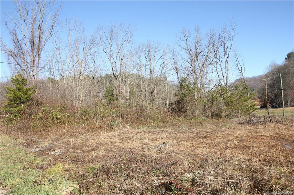 199 Sandy Mush Creek Road - Photo 7