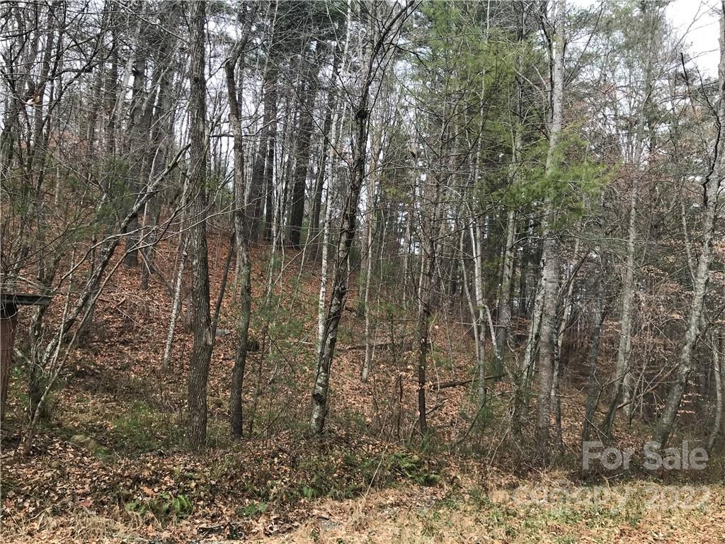 27 Eller Hollow Road - Photo 2