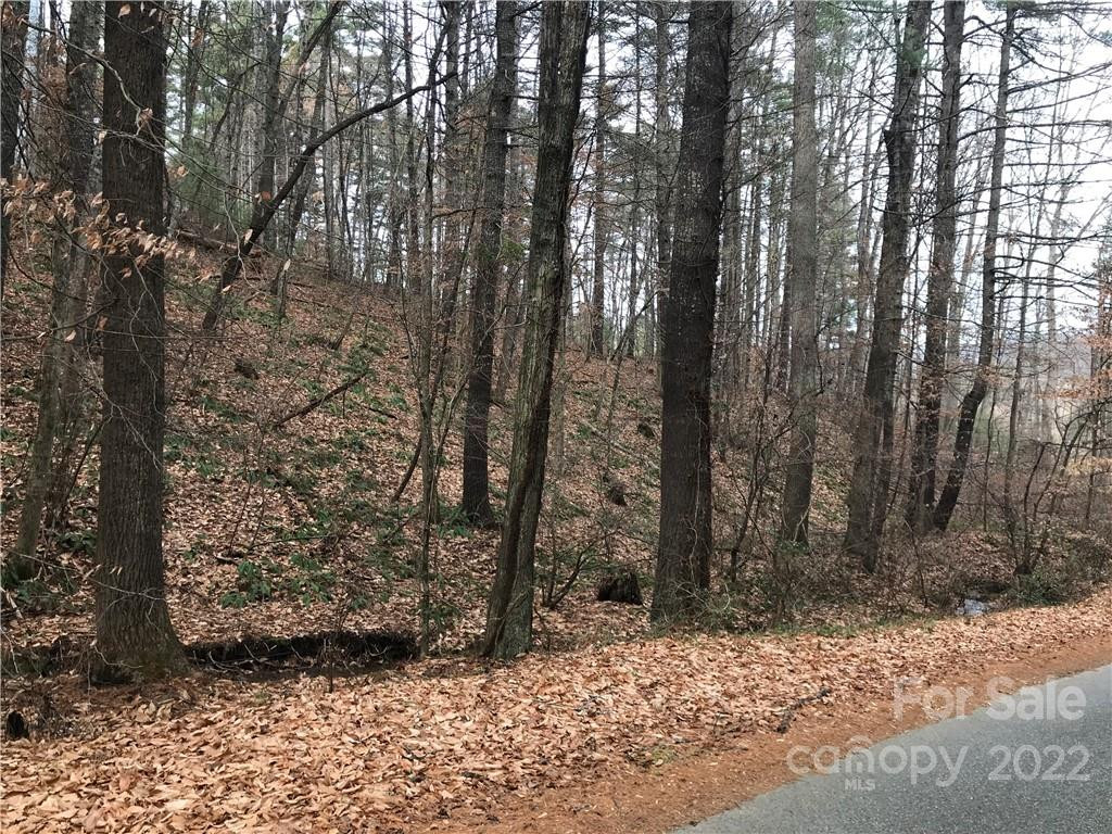 27 Eller Hollow Road - Photo 3