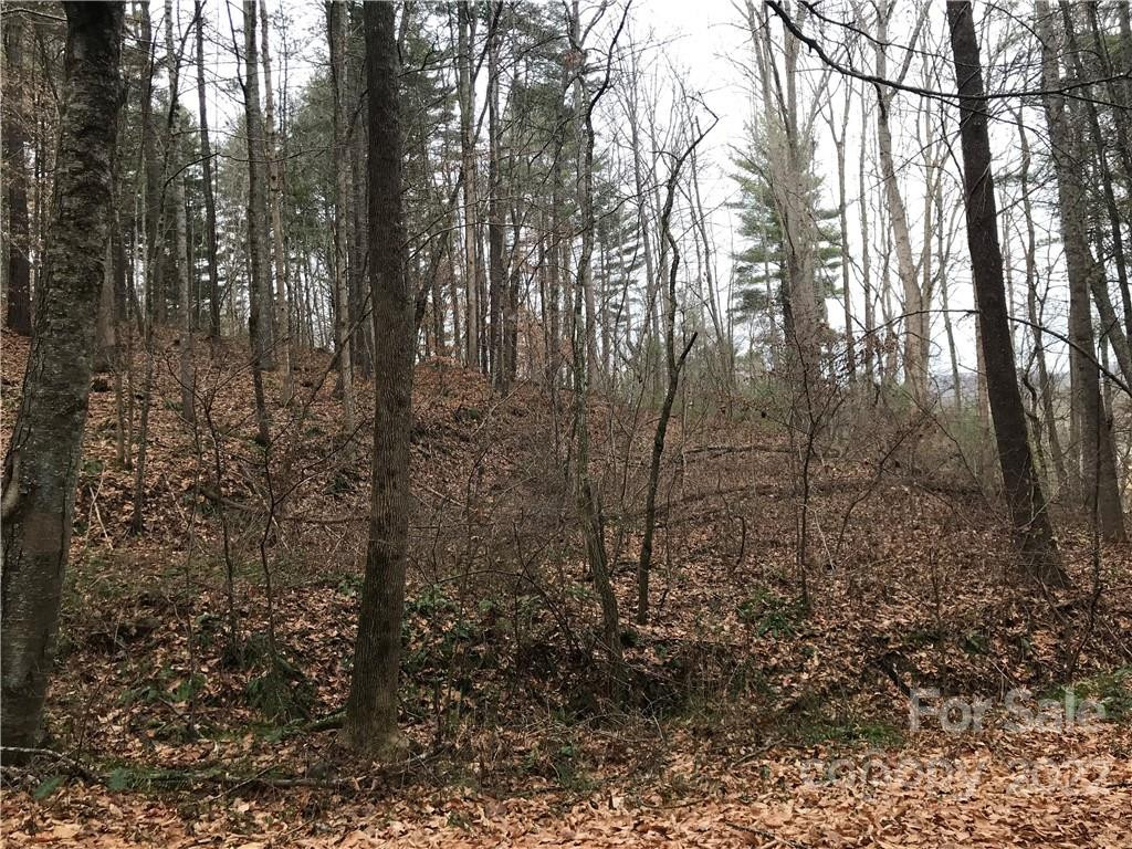 27 Eller Hollow Road - Photo 4