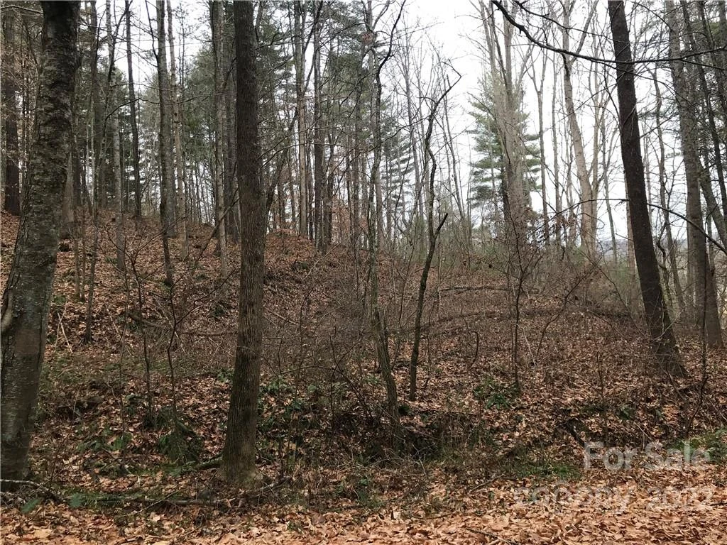 27 Eller Hollow Road - Photo 4