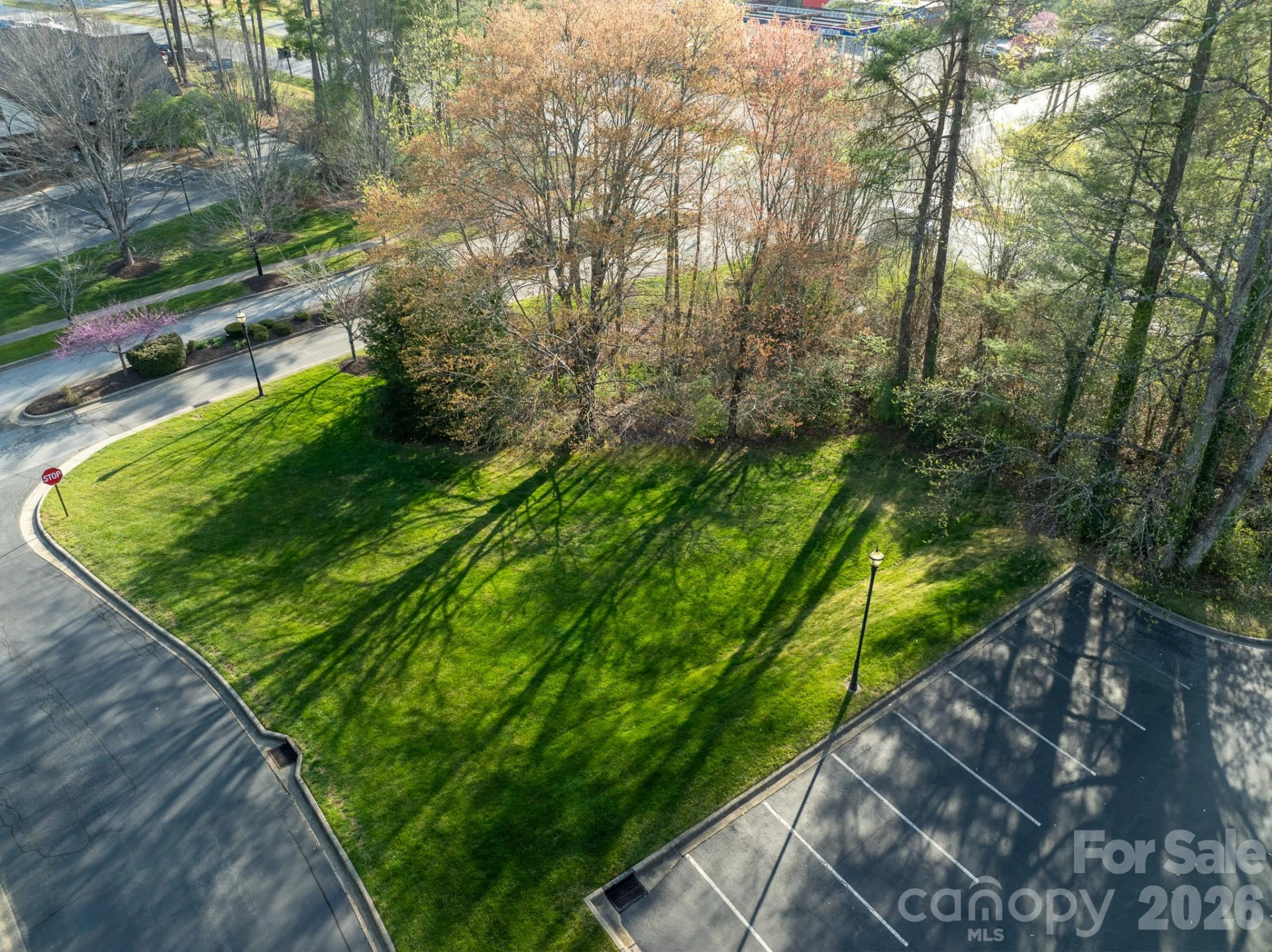 42 Park Place #14 - Photo 7