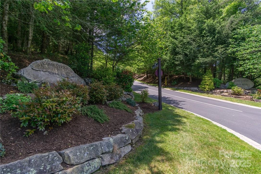 0 Mills River Way #53R - Photo 2