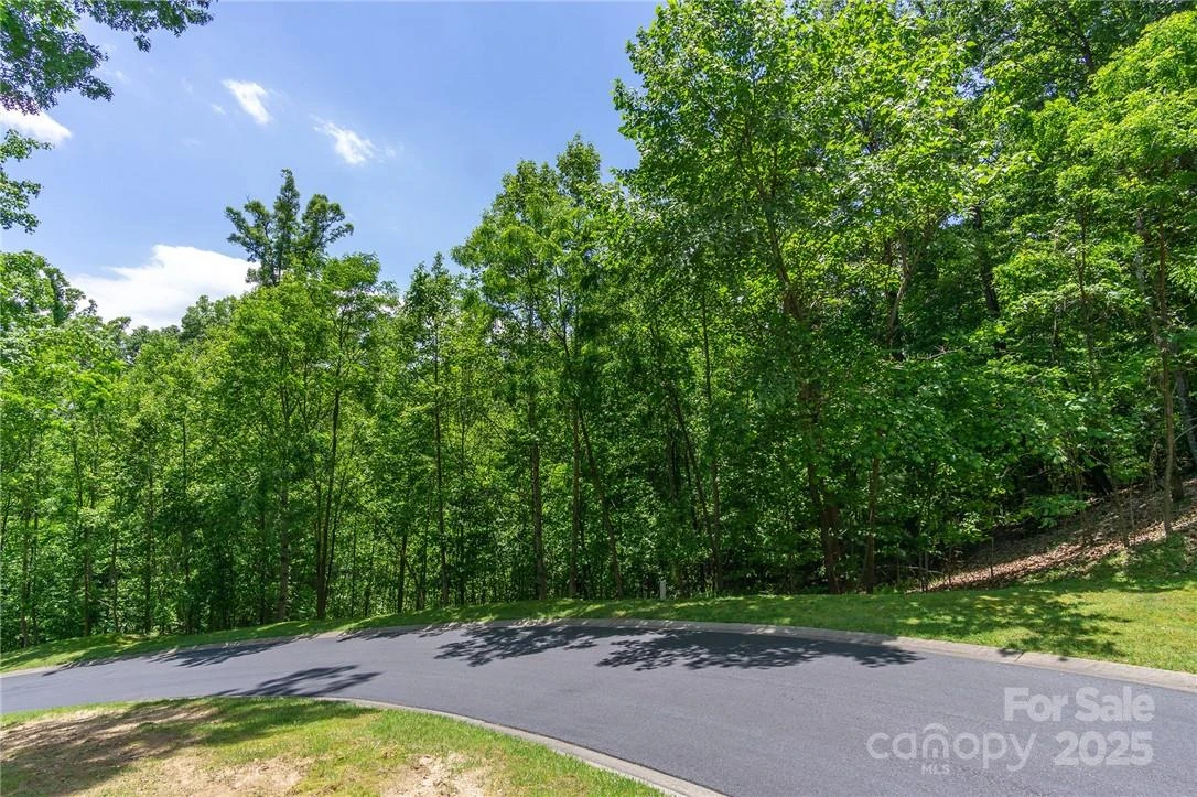0 Mills River Way #53R - Photo 11