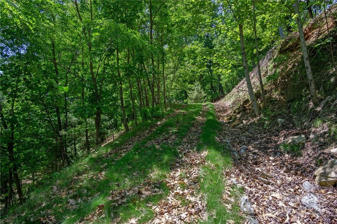 0 Mills River Way #53R - Photo 12