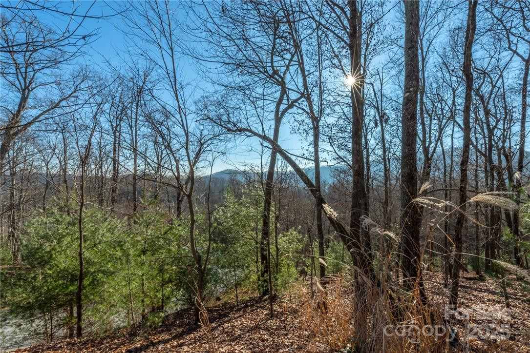 0 Mills River Way #53R - Photo 13