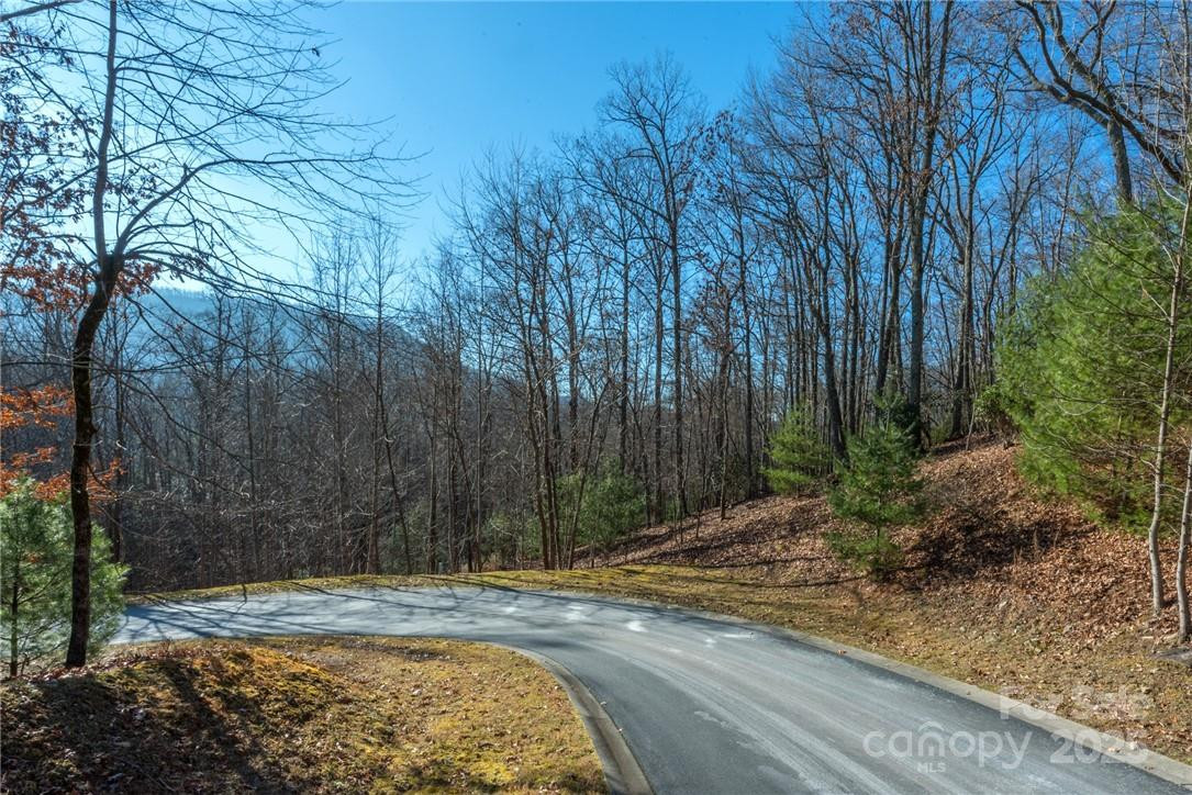 0 Mills River Way #53R - Photo 14