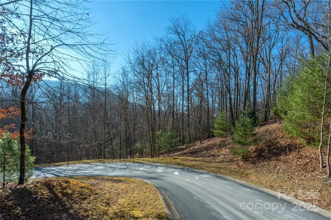 0 Mills River Way #53R - Photo 14