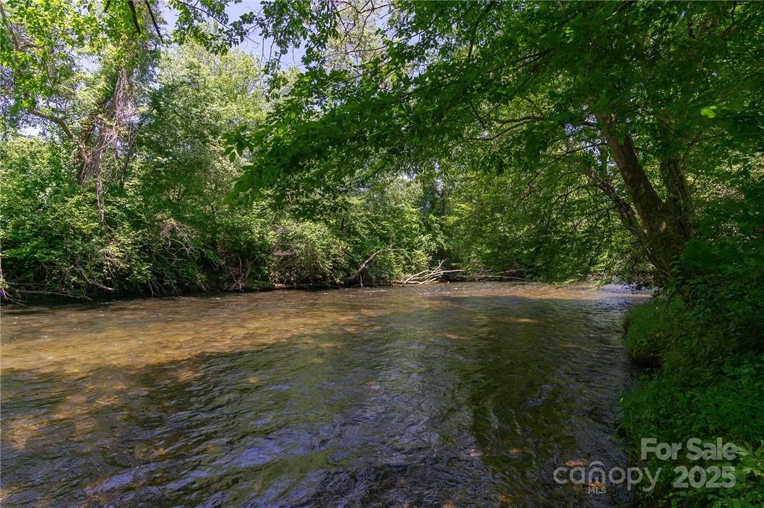 0 Mills River Way #53R - Photo 18