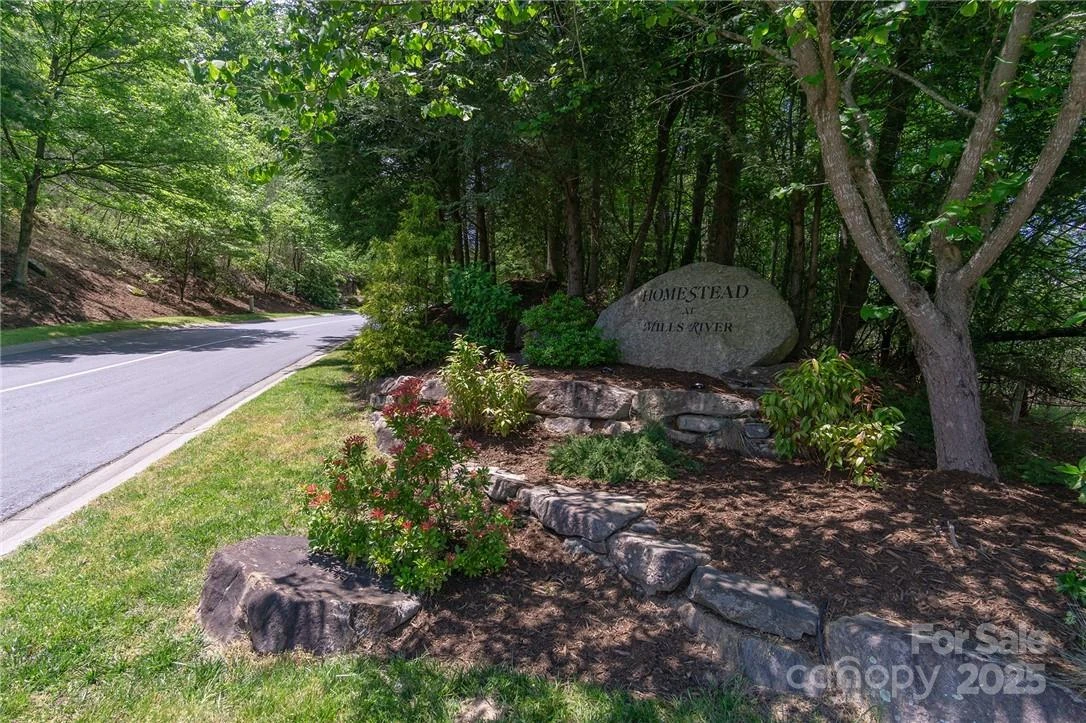 0 Mills River Way #53R - Photo 3