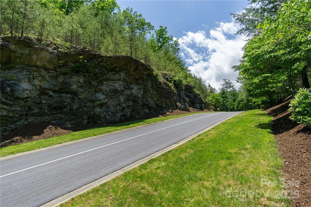 0 Mills River Way #53R - Photo 4