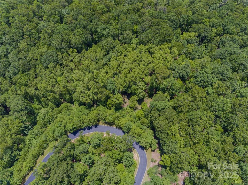 0 Mills River Way #53R - Photo 6