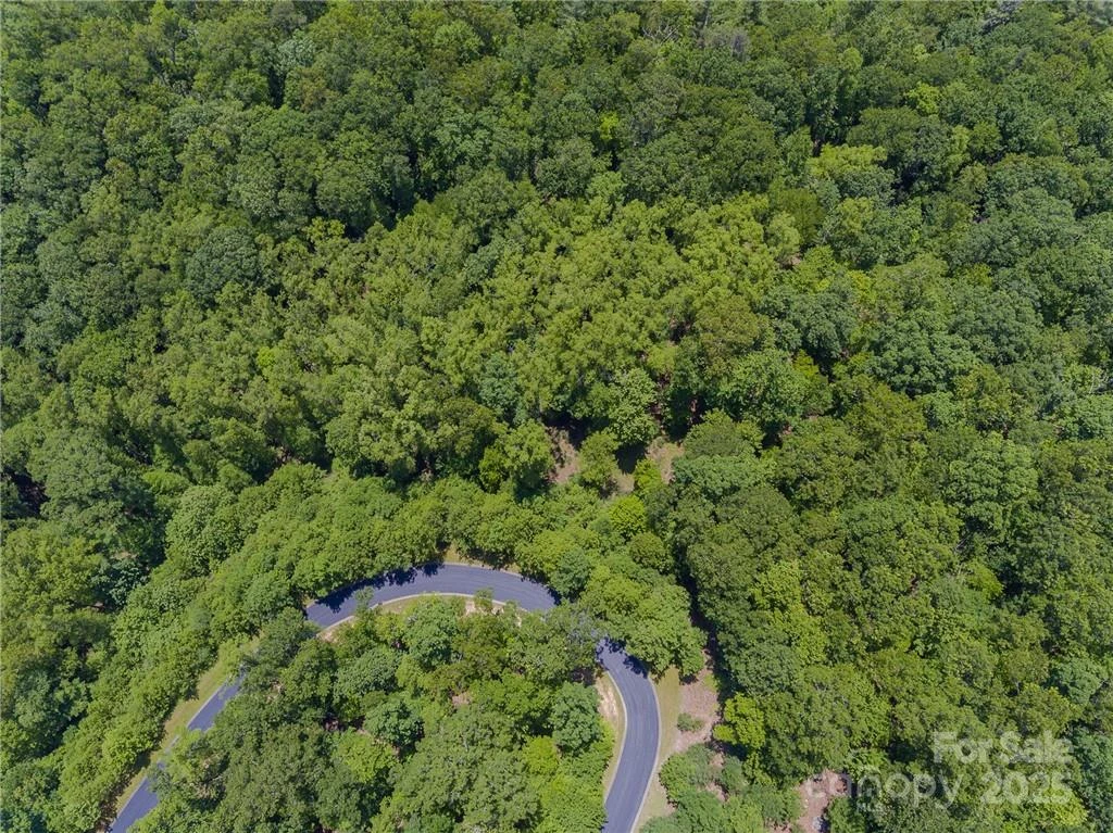 0 Mills River Way #53R - Photo 6