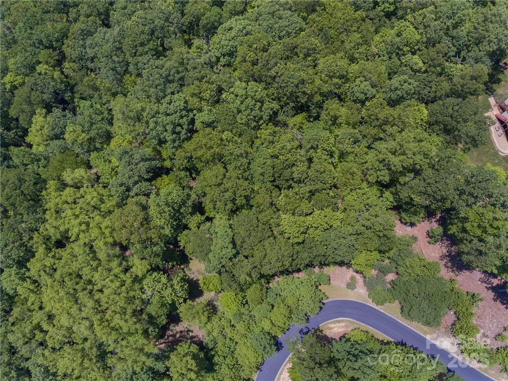 0 Mills River Way #53R - Photo 7