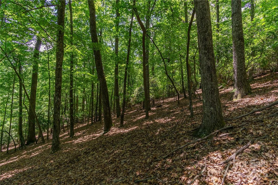 0 Mills River Way #53R - Photo 8