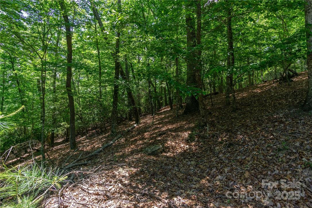 0 Mills River Way #53R - Photo 9